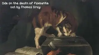 Ode on the death of fav Cat by Thomas Gray explanation in detail 