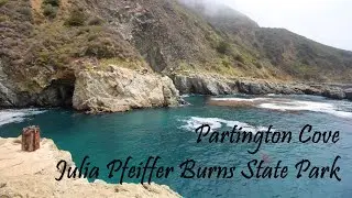 Partington Cove Trail at Julia Pfeiffer Burns State Park