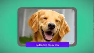 How to Train Your Dog - Falco K9 Academy