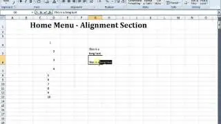 MS Excel Tutorials - Home Menu Alignment Section in Microsoft Excel