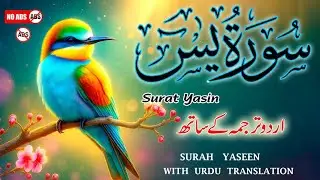 Surah Yaseen with Urdu & Hindi Translation by Ismail Al Nouri | Heart-Touching Recitation | Epi 247