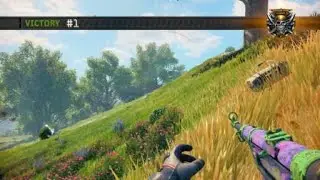 Blackout Reupload - 17 Kill Solo Win