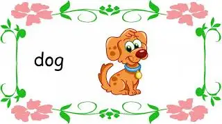 Animals - Match the word to its correct picture.