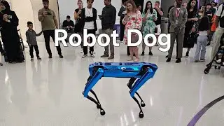 New Super Intelligent Robot Dog In Dubai Future Museum #robotdog #futuremuseum #dubaitourism 