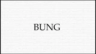 BUNG Meaning - The Secret Language of Rogues