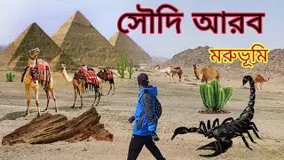 Saudi desert tour2026#সৌদি মরুভূমি ভ্রমন 2026#saudiaarbia 