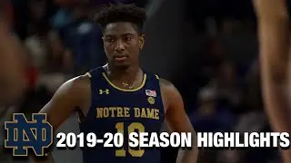 T.J. Gibbs&nbsp; 2019-20 Season Highlights | Notre Dame Guard