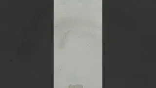See the live fish of the sea from very close | খুব কাছে থেকে সাগরের জীবন্ত মাছ দেখা #fishingvideo