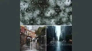 Vibrant Storms and Studies