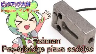 Fishman's Powerbridge piezo saddles ＜Irregular＞