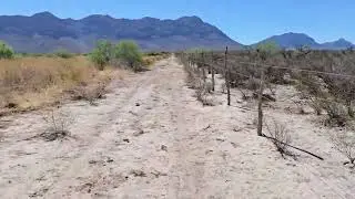 Comparativo donde se uso Rodillo Aereador tipo Tipo T&aacute;ndem y donde se hizo trabajo en el suelo