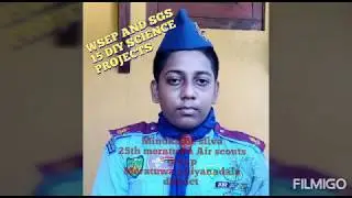 DIY of WSEP and SGS scout projects
