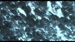The Get Up Kids - Automatic (Official Video)