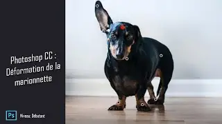 La déformation de la marionnette dans Photoshop CC
