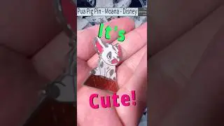 A Cute Disney Pua Pin Found! #shorts #metaldetecting