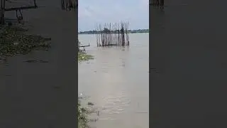 #Koshi Nadi #badh grast#bihar me #ek baar ferse #badhgrast#koshi nadi#bihar india#nepal #bisibeleb