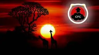 🎼🎶 [FREE] Boro - JBlanked [Vlog No Copyright Music] Instrumental Relaxing Background Music 🎶🎼
