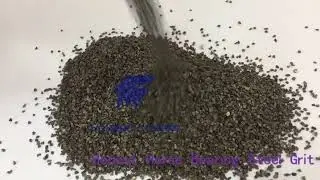 bearing steel grit clip