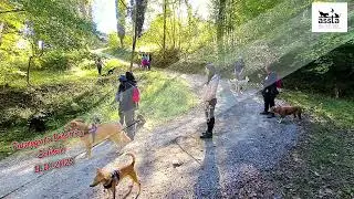A.S.S.T.A. Passeggiata Didattica Solidale del 11 10 2025
