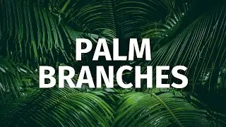 Symbols Of Easter: Palm Branches 🌿