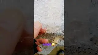 Wet bubbles ASMR outdoor #asmr #sensoradi #shorts #relaxing #tingles
