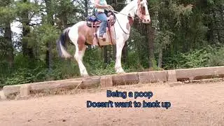 Murphy solo ride @McIver Park 2021