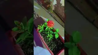 #content #support #vlogger #vlogging #daily#creator #influencer1 day ago277)&bull;