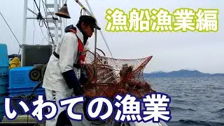 いわての漁業【漁船漁業編（カゴ漁）】 ～雄大な三陸の海で働いてみないか～