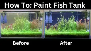 Easiest Way To Spray Paint Aquarium Background