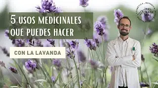 Descubre 5 Usos Medicinales de la Lavanda que Puedes Hacer Fácilmente en Casa | Remedios naturales