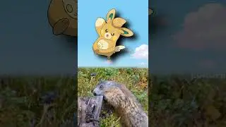 WTF is Pawmo?| EVERY Pok&eacute;mon Design Explained #pokemon #pokemoncards  #shorts