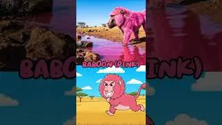 A B C D Antelope Baboon Cheetah Deer Colors Orange Pink Yellow Red Kids Song Learning Fun 3D Magic