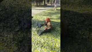 Skating Ke Saath Nature Ka Maza 🍃 | NishanK Daily Vlogs | Bareilly Cantt