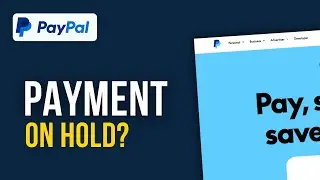 How to Fix PayPal Money on Hold: Get Your Funds INSTANTLY (2026 Guide)
