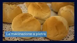 BONGIOVANNI FARINE E BONTA' NATURALI Farina Di Farro Spelta Setacciata Bio, 1000 Grammo