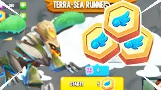 DRAGON CITY: NEW TERRA SEA RUNNER ISLAND | SOME TIPS THAT COULD HELP YOU!
