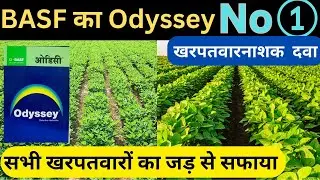 Basf odyssey herbicide || odyssey herbicide ||ओडीसी खरपतवारनाशक || best herbicide #odyssey #basf