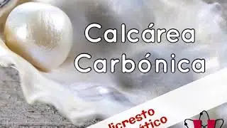 Policresto Homeop&aacute;tico