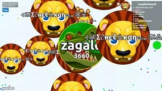 RAGING CROCODILE 🐊DESTROYING SLOW TEAMS (agar.io solo gameplay)