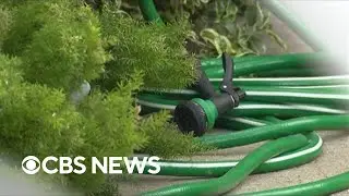 Millions in Southern California forced to cut water use amid drought