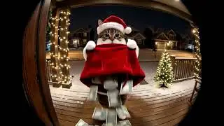 Santa Kitty Cam  🎅🐈👩 Elegant Xmas Woman Portrait 🦌 💰🏠🎄✨ #funny #cutecat #moneybag #deer #present #NY