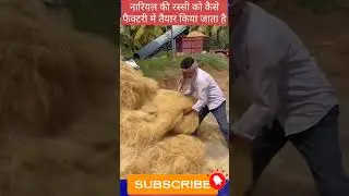 #coconut #rope #factory #howtomake #doyouknow #production #factoryprocess #rassi #facts #kaise #fact