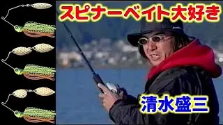【清水盛三】 スピナーベイトを使いこなせ！/D-ゾーン【バス釣り】