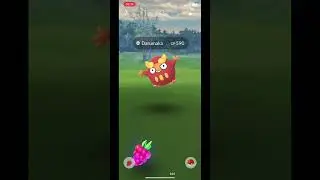 Lucky Wishes completed Pok&eacute;mon Go