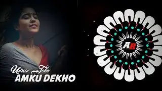 Udna Teko Amku Dekha (Cg Tapori Dnc Mix) DJ Samiree X DJ Robin Angul || BASS 🚫 AHEAD PLZ USE 🎧