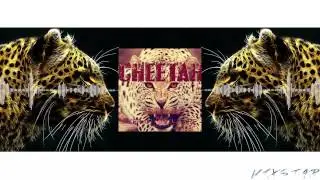 Audioless x Kerafix & Vultaire - Cheetah (Original Mix)