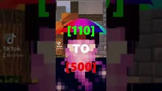 How to transform your Hypixel Skyblock level 🇸🇲🥖