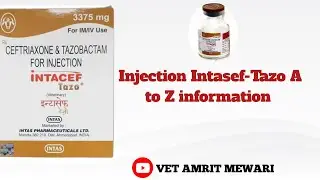 Injection Intasef-Tazo uses in hindi | veterinary Inj. Ceftriaxone & tazobactam सम्पूर्ण जानकारी 💉