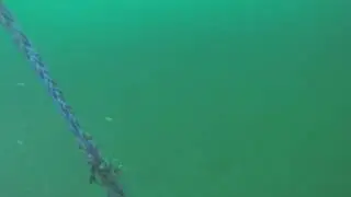 ROV Anchor Mapping