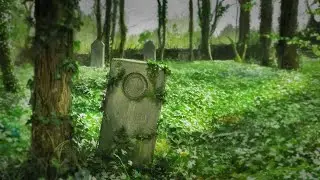 Walking through Bohnice (Asylum & Old Cemetery)
